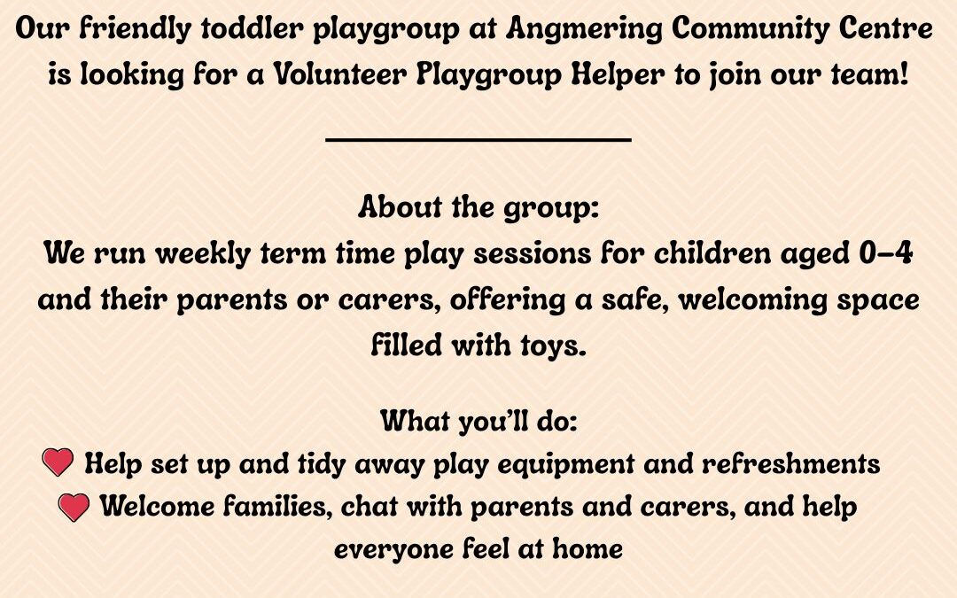 Volunteer Wanted for Toddler Playgroup Helper